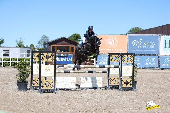 Bay show jumper clearing a Louise Evolve oxer in the Plusvital arena at Barnadown