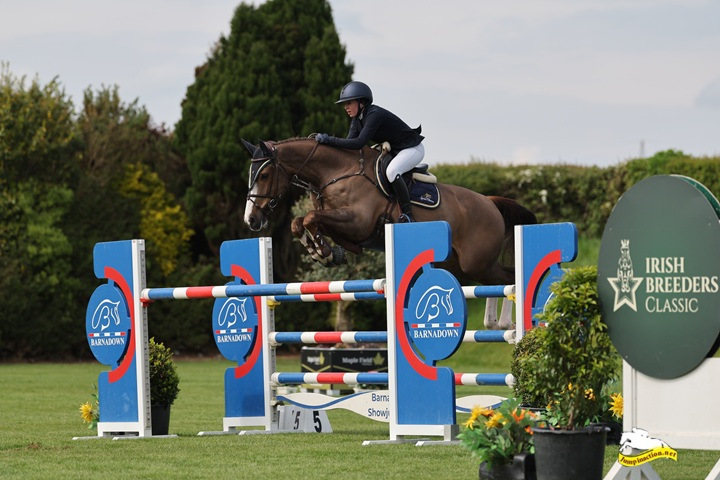 Chestnut sport horse clearing a Barnadown show jump at the Irish Breeders Classic