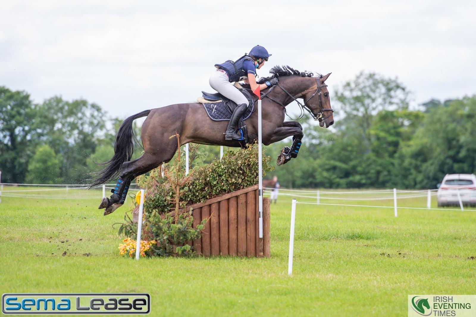 Rider jumping a dark bay horse over a brush and timber cross-country fence in Ireland
